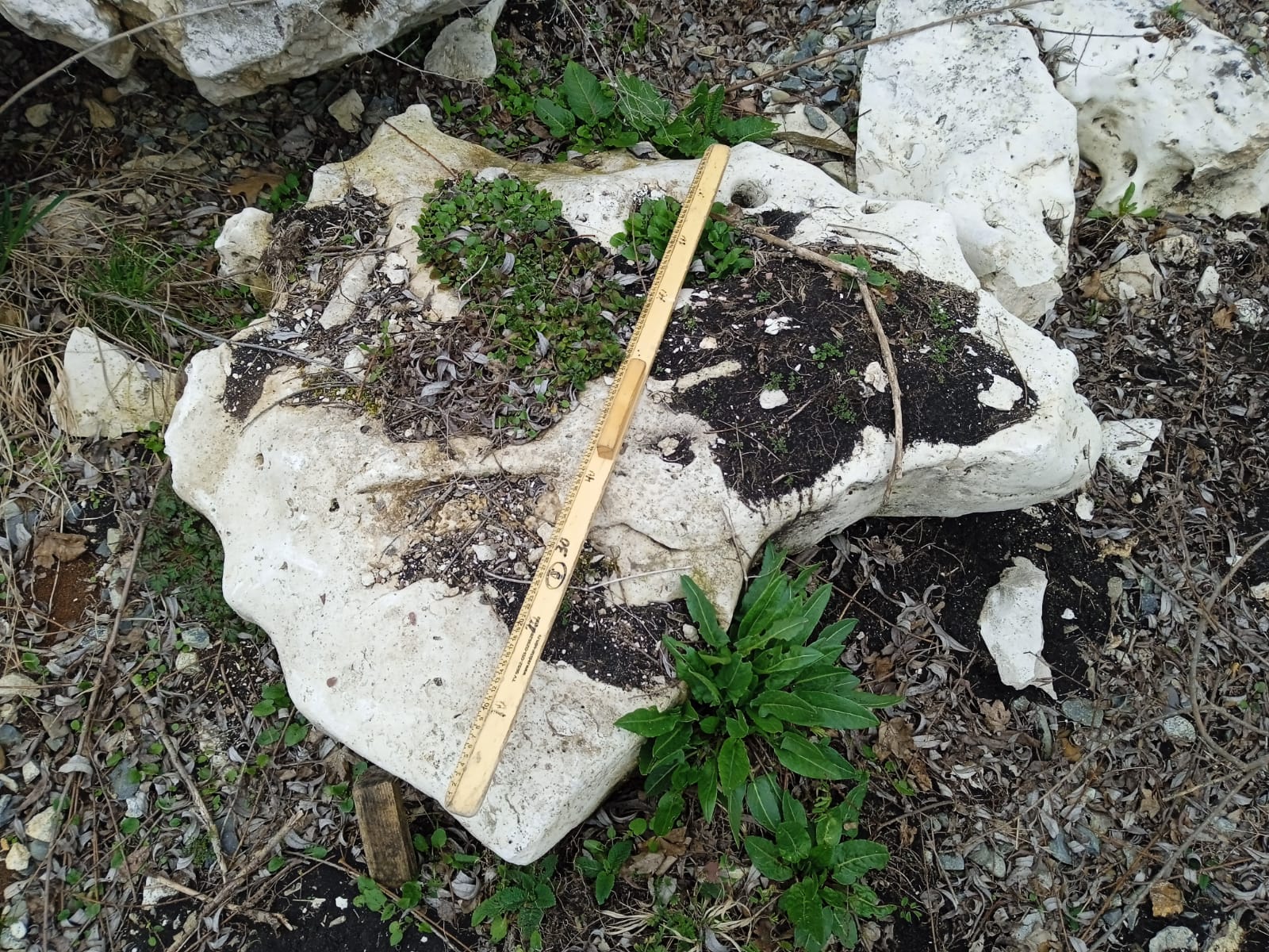  Выветренный известняк (степной) фр. 500-1500 мм.  купить в Ростове    8 500 руб/т   фото 