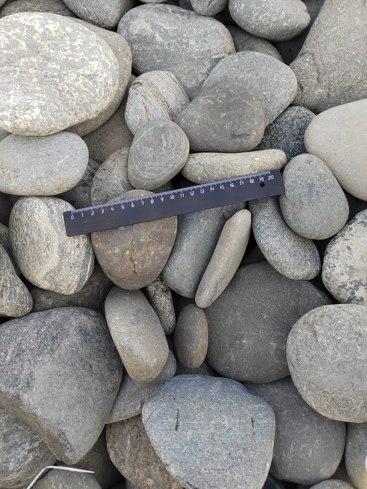 Kamenclub.ru: Галька речная плоская (ассорти) фр. 70-150 мм. купить   в  Ростовегалька галечник серый белый темно-серый синий светло-серый плоская природная галька  6200 руб/т   фото КАМЕНЬ КЛУБ