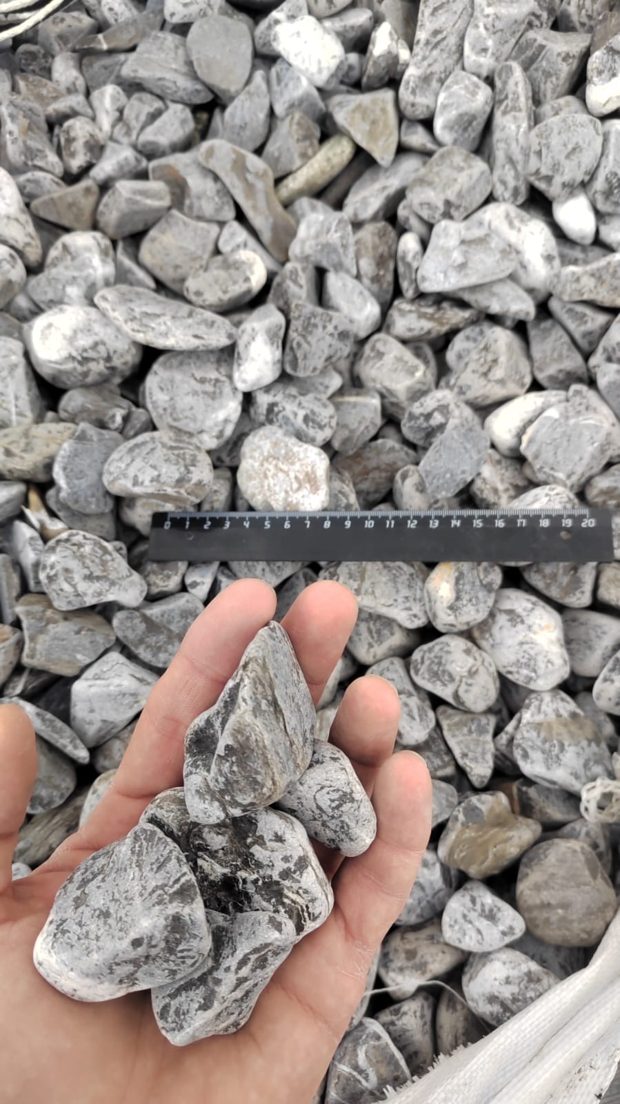  Черная галька (щебень галтованный черный мрамор) фр.40-70 мм.  купить  в Ростове мрамор черный с белыми прожилками, черный, белый щебень галтованный округлый 13500 руб/т   фото 