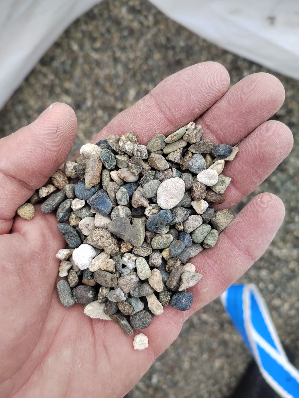  Галька речная окат (серая) фр.5-10 мм купить   в Ростове галька речная серая, серый, темно-серый, светло-серый, коричневый речная окатанная галька декоративная ландшатфная 4000 руб/т   фото 