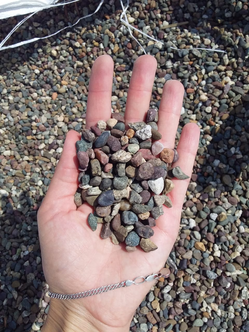  Галька речная окат цветная фр.5-10 мм. купить   в Ростове галька речная белый, серый, красноватый, синий, темно-серый речная окатанная галька декоративная 5000 руб/т   фото 