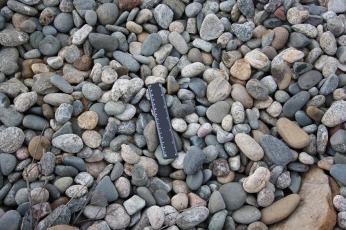  Галька речная окат (пестрая) фр. 20-40 мм. купить   в Ростове галька речная пестрая, серая, серые оттенки галька речная окатанная округлая 4000 руб/т   фото 