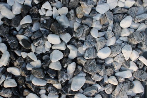  Микс шахматной гальки  (щебень галтованный микс:: белый-черный) фр.20-40 мм  купить  в Ростове мрамор белый, черный мраморный галтованный щебень 14500 руб/т   фото 