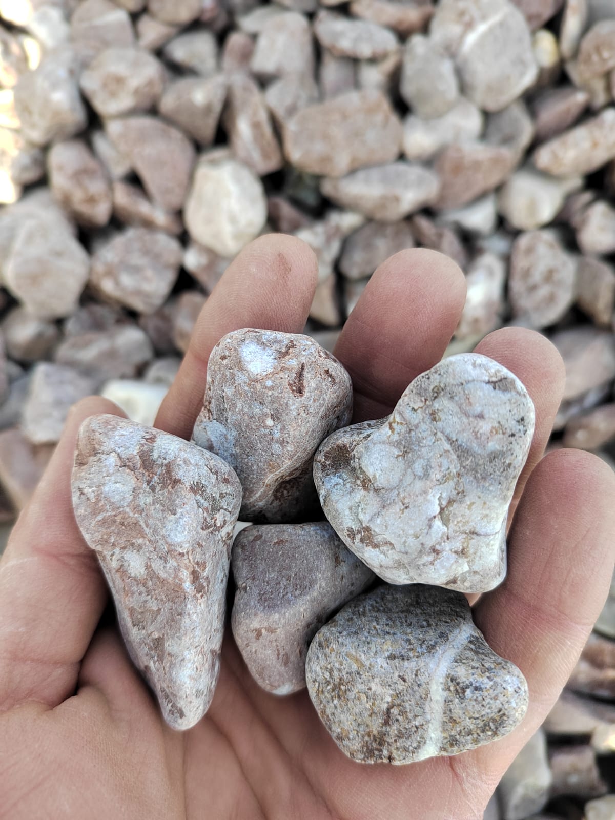  Розовая галька (щебень галтованный розовый) фр.20-40 мм.  купить  в Ростове мрамор розовый, красный оголтованный округлый щебень  13500 руб/т   фото 