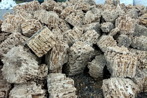  Крымский природный меотис фр. 100-500 мм.  купить в Ростове меотис бежевый рыжий молочный желтый ракушечник 4 500 руб/т   фото 