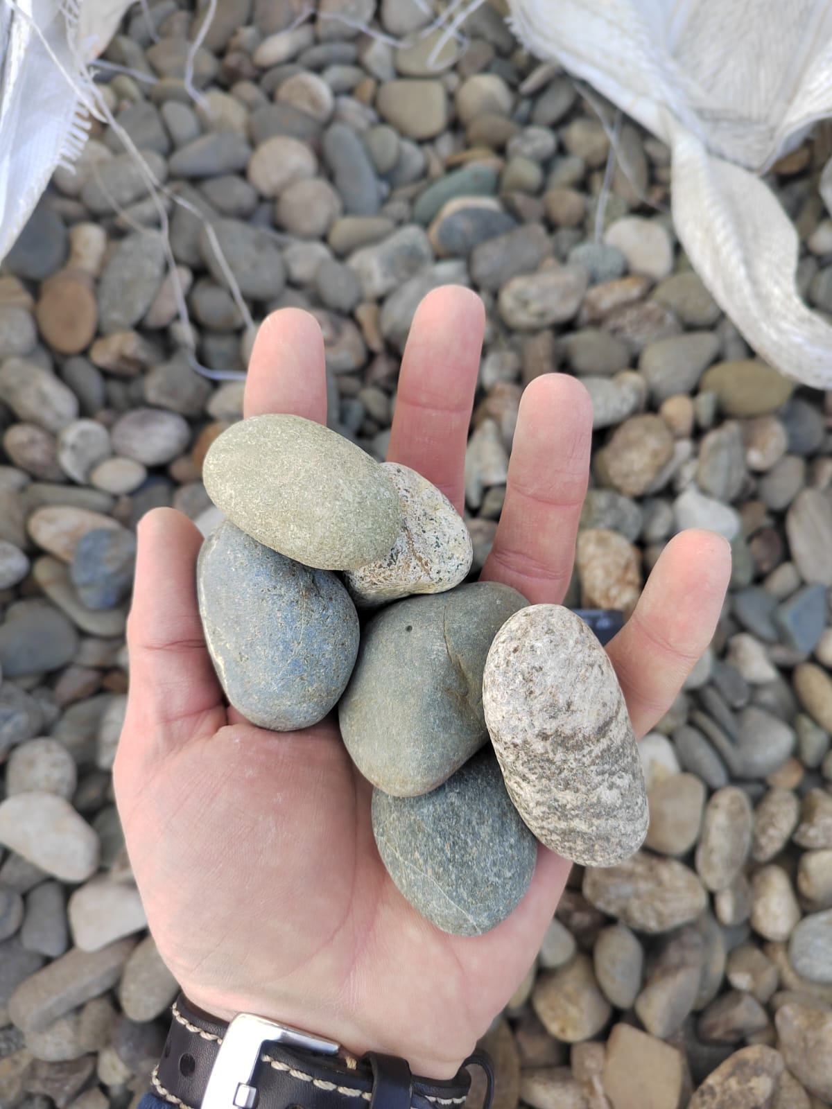  Галька речная окат (пестрая) фр. 20-40 мм. купить   в Ростове галька речная пестрая, серая, серые оттенки галька речная окатанная округлая 4000 руб/т   фото 