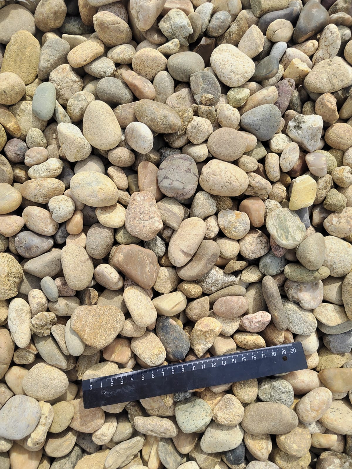  Галька речная окат рыжая фр. 20-40 мм. купить   в Ростове галька речная окатанная рыжая желтая серая округлая речная галька 4000 руб/т   фото 