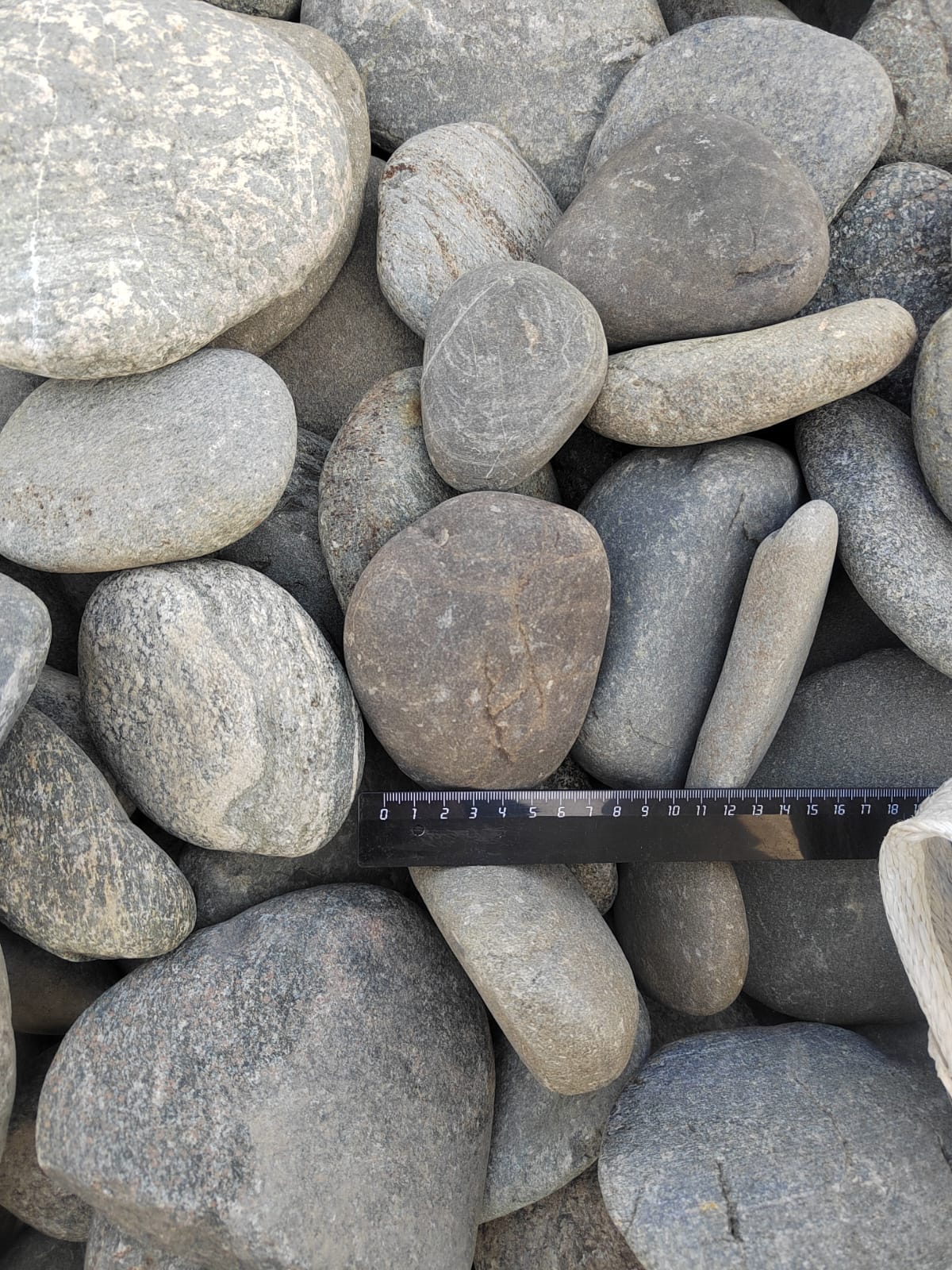 Kamenclub.ru: Галька речная плоская (ассорти) фр. 70-150 мм. купить   в  Ростовегалька галечник серый белый темно-серый синий светло-серый плоская природная галька  6200 руб/т   фото КАМЕНЬ КЛУБ