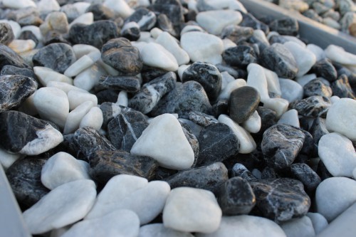  Микс шахматной гальки  (щебень галтованный микс:: белый-черный) фр.20-40 мм  купить  в Ростове мрамор белый, черный мраморный галтованный щебень 14500 руб/т   фото 