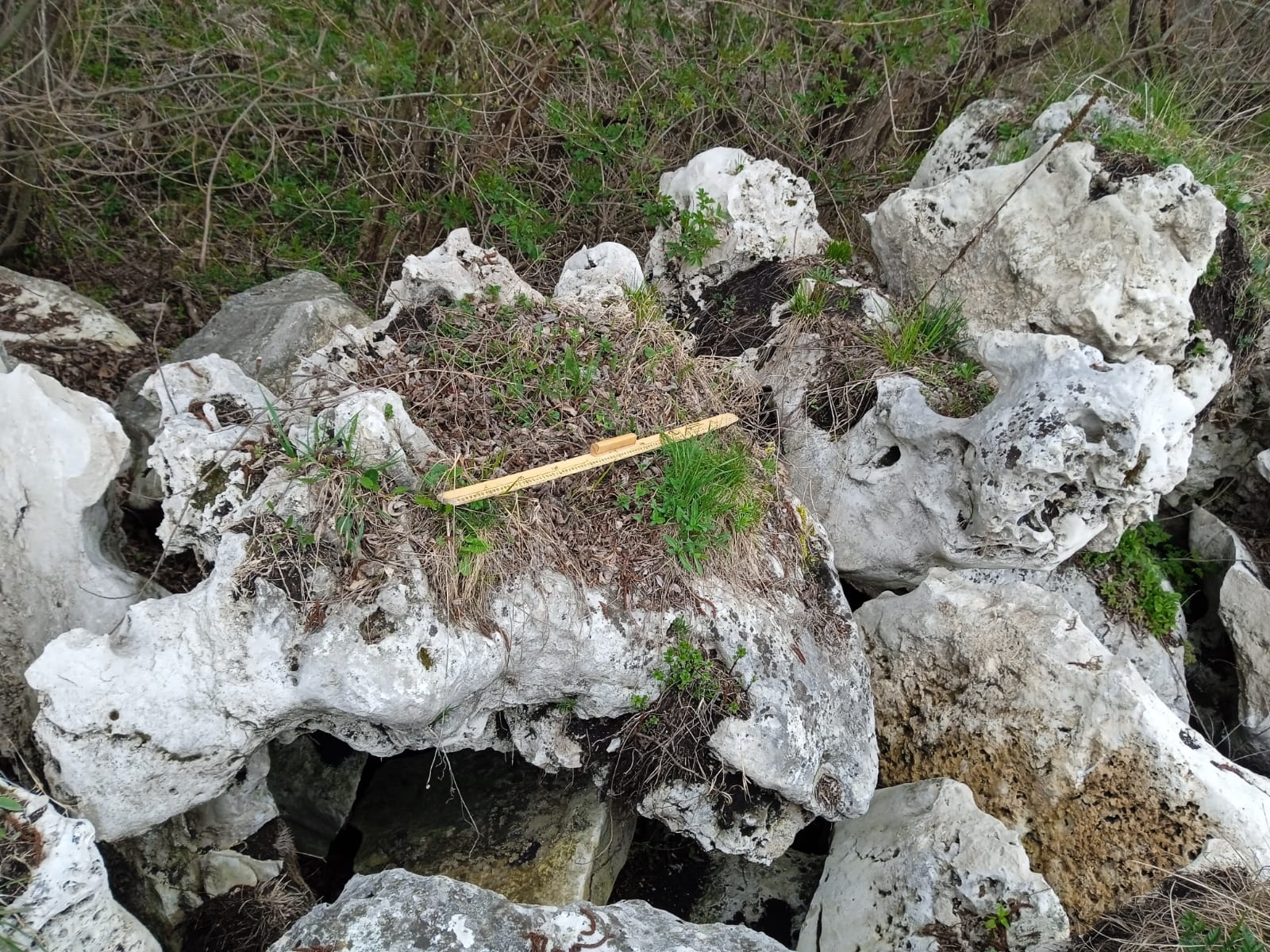  Выветренный известняк (степной) фр. 500-1500 мм.  купить в Ростове    8 500 руб/т   фото 