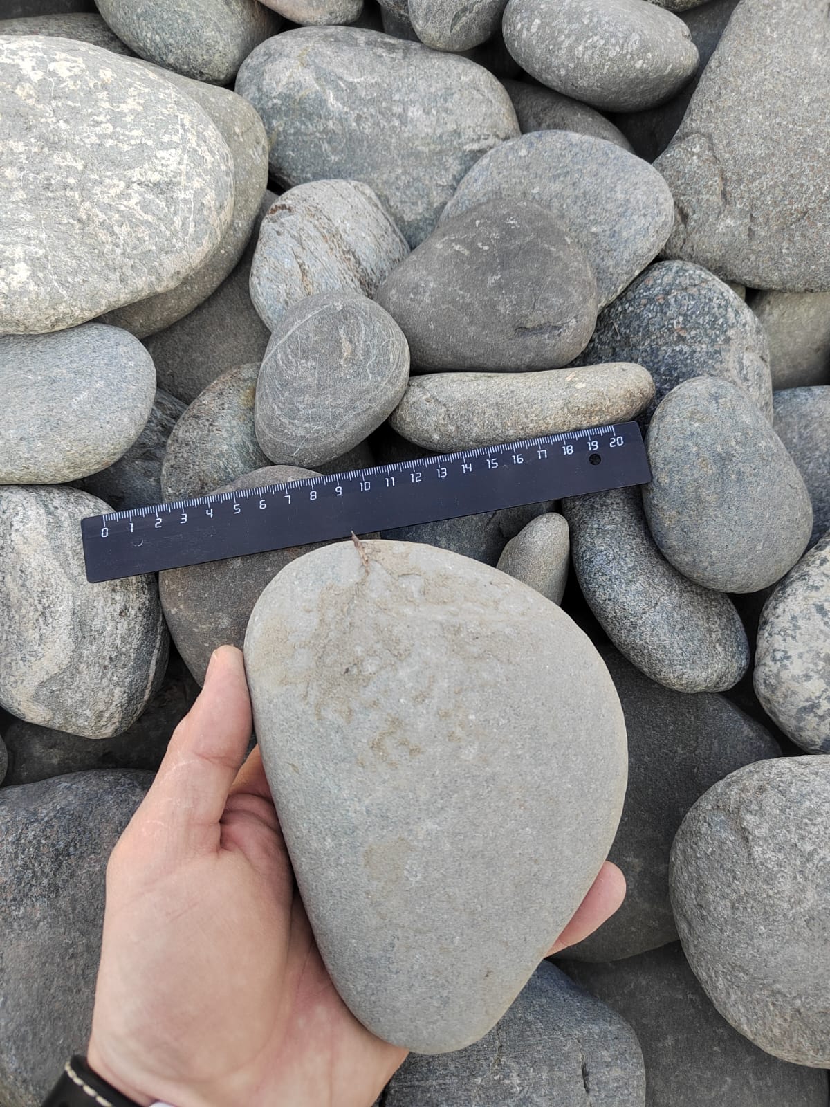 Kamenclub.ru: Галька речная плоская (ассорти) фр. 70-150 мм. купить   в  Ростовегалька галечник серый белый темно-серый синий светло-серый плоская природная галька  6200 руб/т   фото КАМЕНЬ КЛУБ