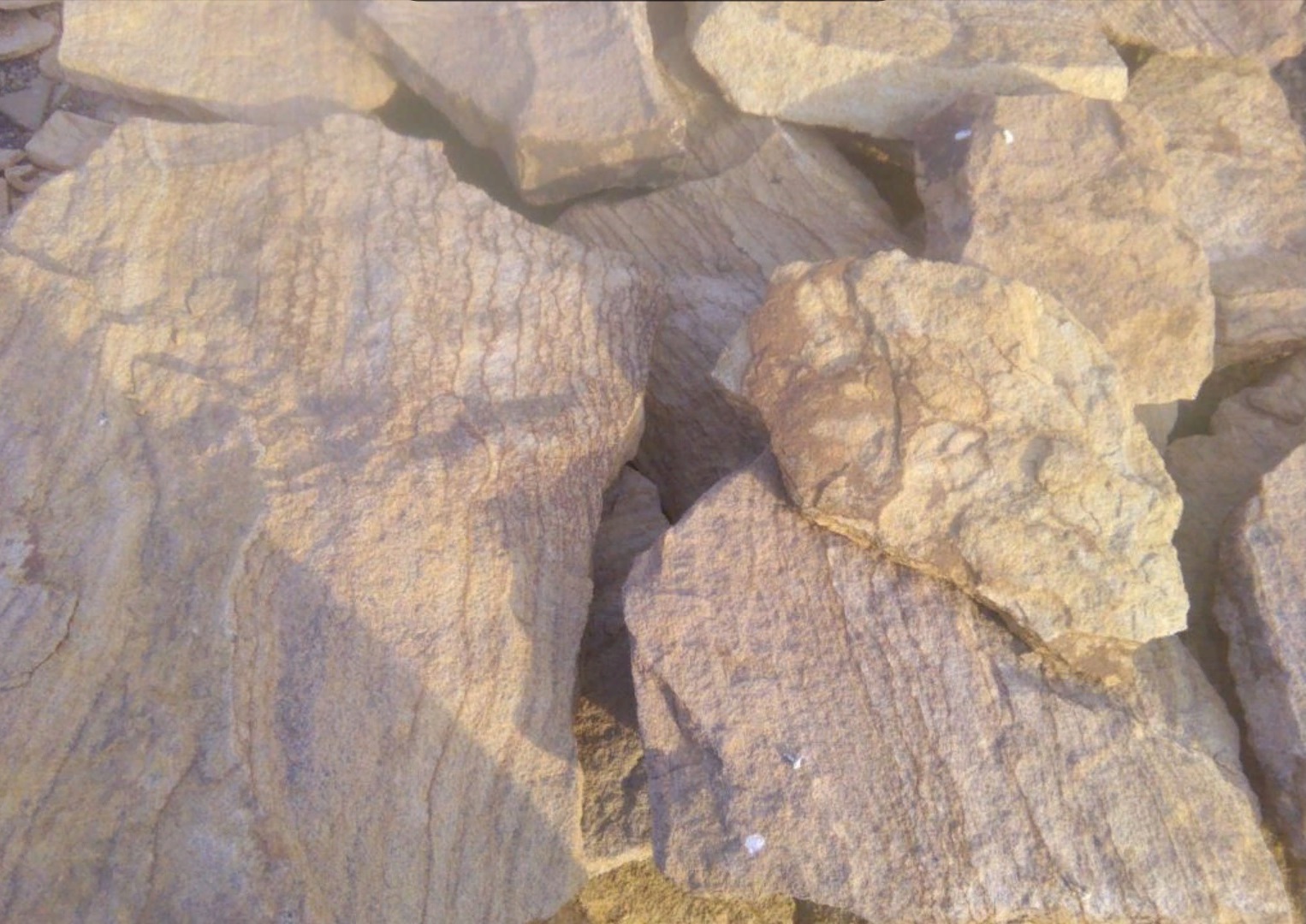 Песчаник пластушка "фонтанка" желтая (3,0 - 5,0 см)  купить  в Ростове песчаник желтая, рыжий, желтый песчаник колотый рваный со сколом облицовочный 8 500 руб/м3   фото 