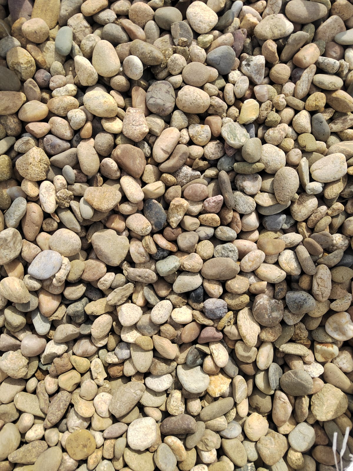  Галька речная окат рыжая фр. 20-40 мм. купить   в Ростове галька речная окатанная рыжая желтая серая округлая речная галька 4000 руб/т   фото 